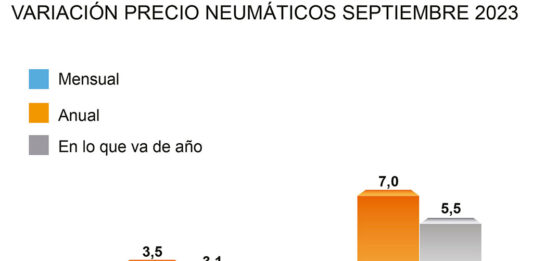 Precio neumáticos ADINE