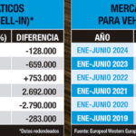 mercado neumáticos junio 2024