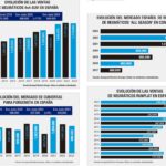 mercado neumáticos junio 2024