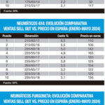 mercado neumáticos junio 2024