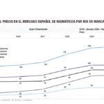 mercado neumáticos junio 2024