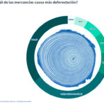 Ley deforestación Consejo Europeo