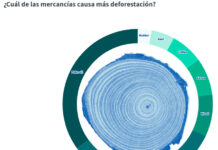 Ley deforestación Consejo Europeo