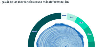 Ley deforestación Consejo Europeo