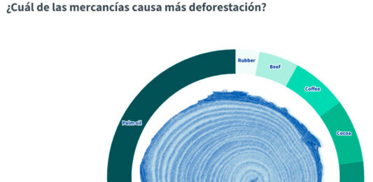 Ley deforestación Consejo Europeo