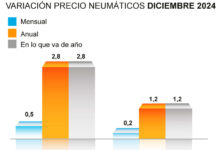 ADINE precio neumáticos 2024