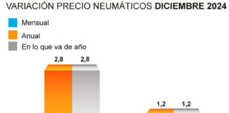 ADINE precio neumáticos 2024