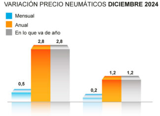 ADINE precio neumáticos 2024