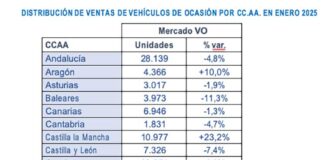 mercado V.O. enero 2025