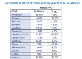 mercado V.O. enero 2025