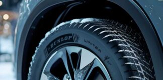 Dunlop Winter